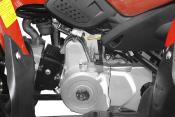 125 cc RAZER SPORT RAPTOR L 7' quad enfant automatique  + m. ar 
