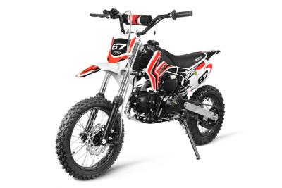 110 cc STORM  V2 Dirt bike DB 14/12  moto cross automatique  nitro 