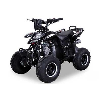 125 cc RAZER SPORT RAPTOR L 7' quad enfant automatique  + m. ar & compteur