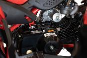 125 cc RAZER SPORT RAPTOR L 7' quad enfant automatique 2023  + m. ar 